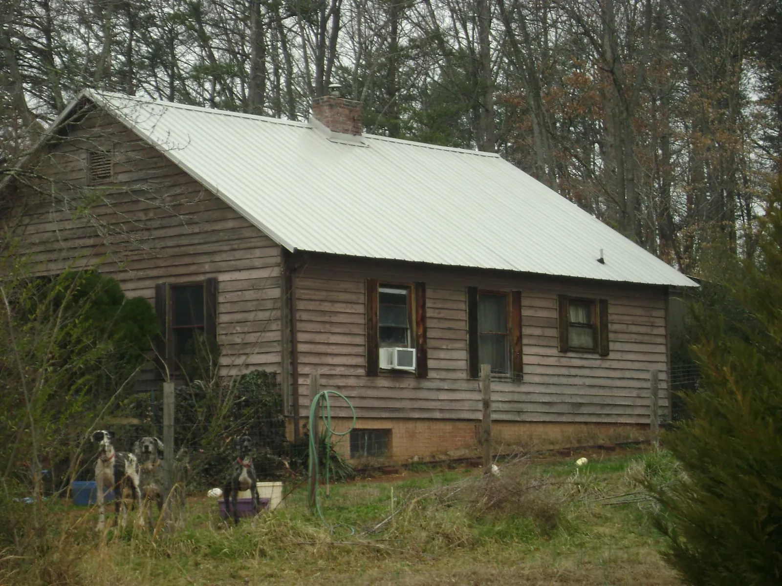 White metal roof on an old wood sided farmhouse, from a Asphalt Shingle Roof Repair job in Mcadoo